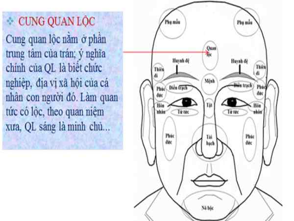 Đoán số mệnh qua cung quan lộc