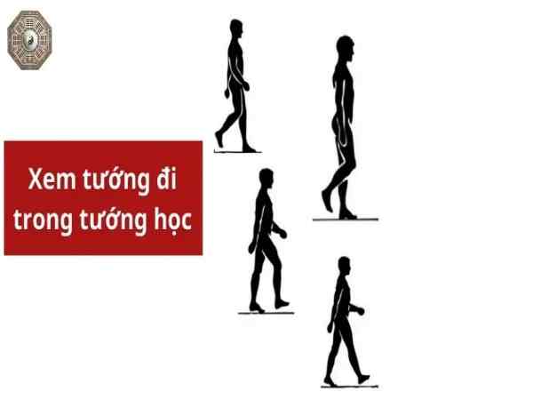 Xem tướng số qua dáng đi của chân