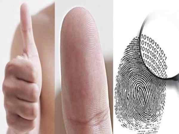 Xem hoa tay đoán vận may kinh doanh buôn bán thuận lợi