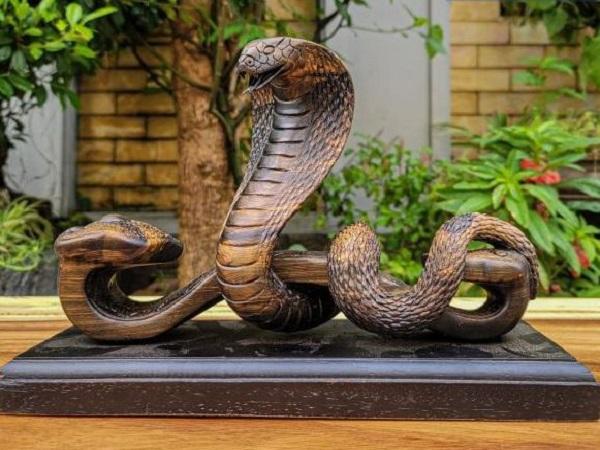 Ý nghĩa biểu tượng của rắn trong văn hóa và phong thủy