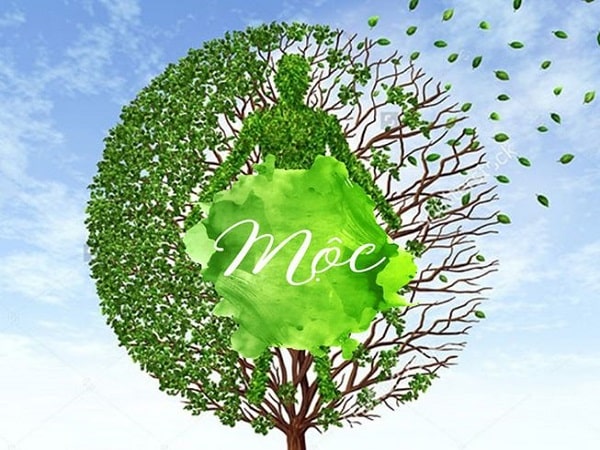 Đặc trưng cơ bản của người mệnh Mộc