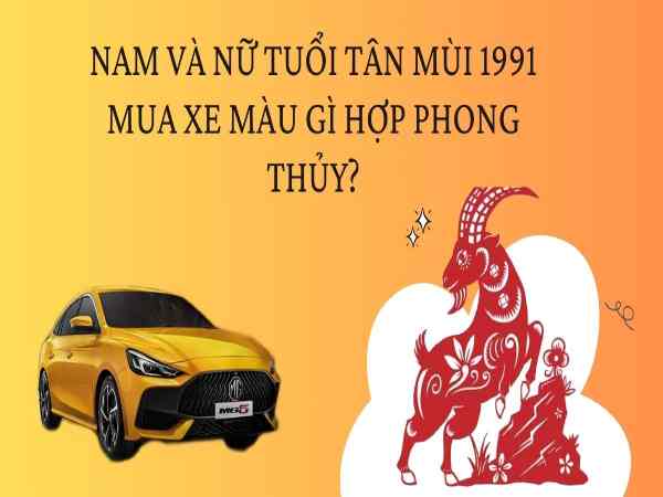 tuổi mùi 1991 hợp màu gì