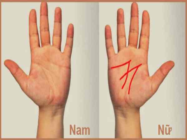Ý nghĩa bàn tay chữ M trong nhân tướng học