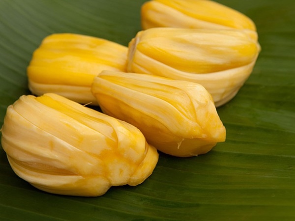Giải mã thông điệp khi nằm mơ thấy hái quả mít chín