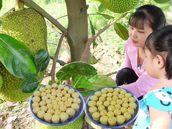 Giải mã thông điệp khi nằm mơ thấy hái quả mít chín