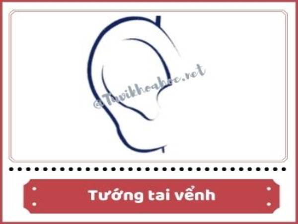 Giải mã tướng tai vểnh tốt hay xấu?
