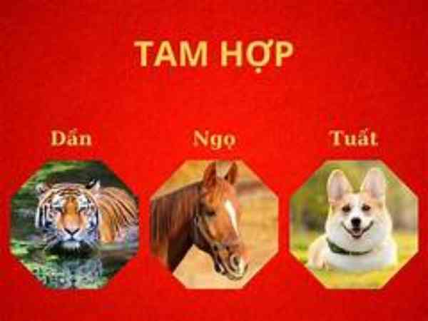 tam hợp tuổi dần
