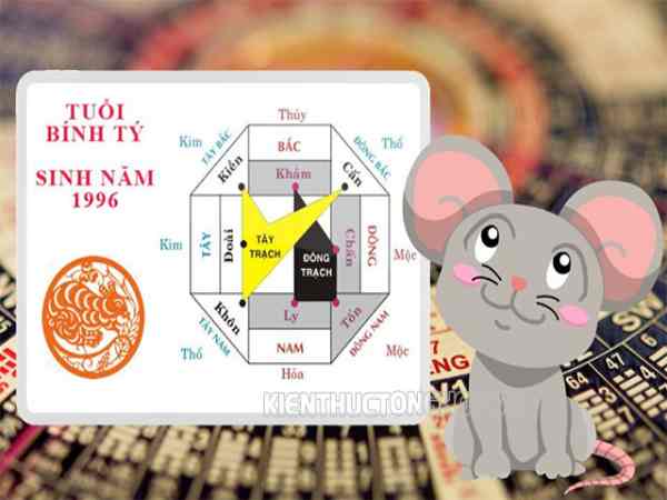 tuổi bính tý hợp hướng nào