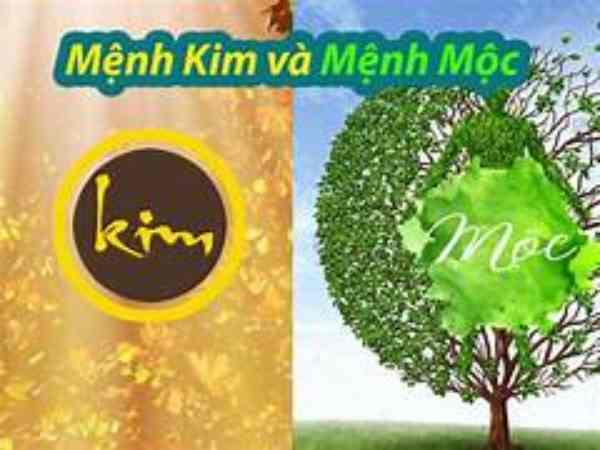 Tổng quan về năm sinh, tính cách mệnh Kim và mệnh Mộc