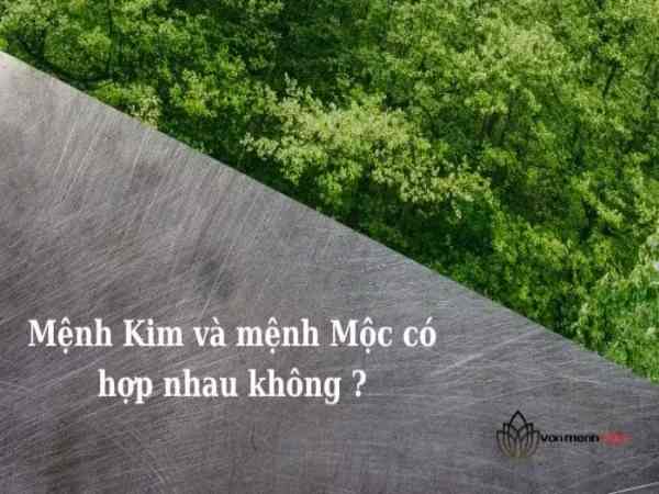 Mệnh mộc và mệnh kim có hợp nhau không