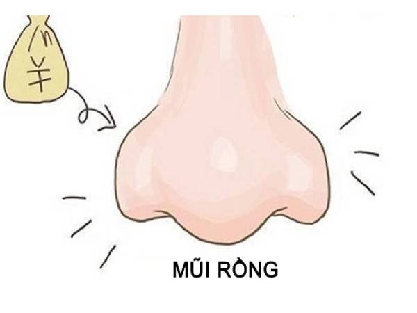Tướng mũi rồng là gì?
