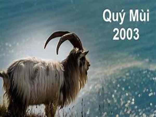 tuổi mùi 2003 mệnh gì