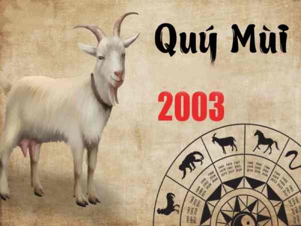 tuổi mùi 2003 mệnh gì