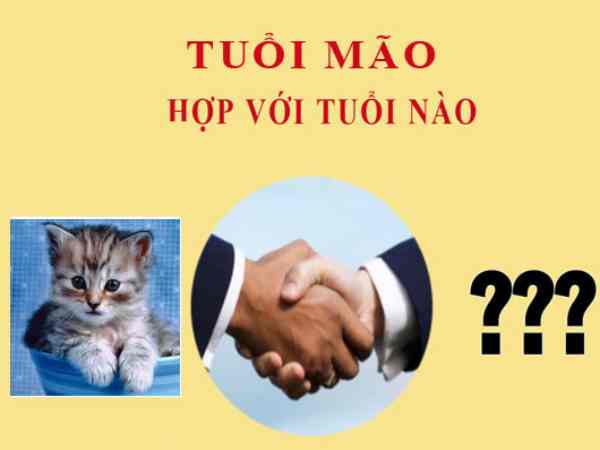 Tuổi mão hợp với tuổi nào