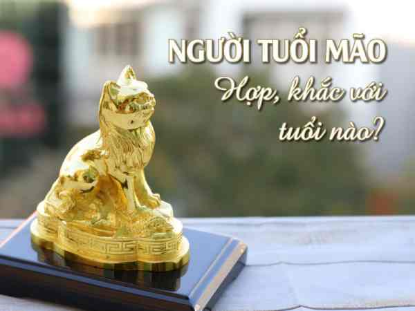 Nữ tuổi Mão hợp với tuổi nào?