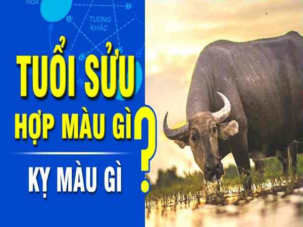 Tuổi Ất Sửu (1925, 1985) – mệnh Kim
