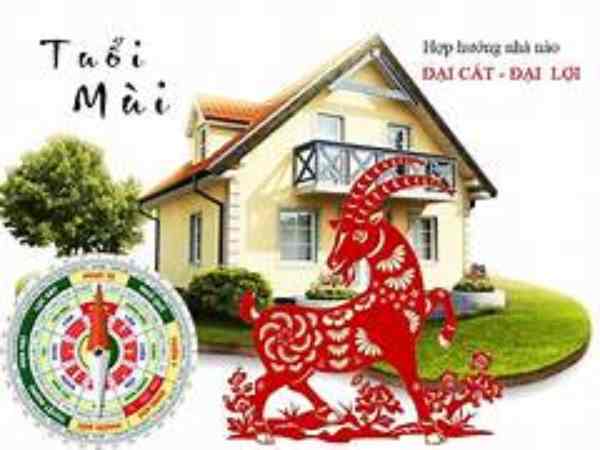 Tân Mùi hợp hướng nào giúp sức khỏe, tình duyên may mắn