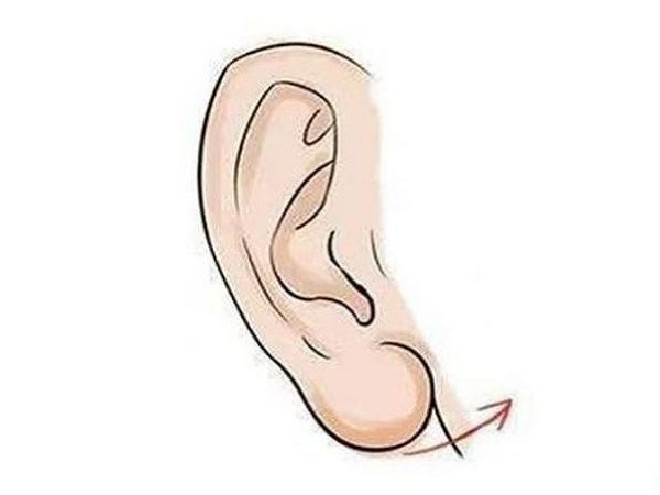 Ý nghĩa nhân tướng học tướng tai to là gì?