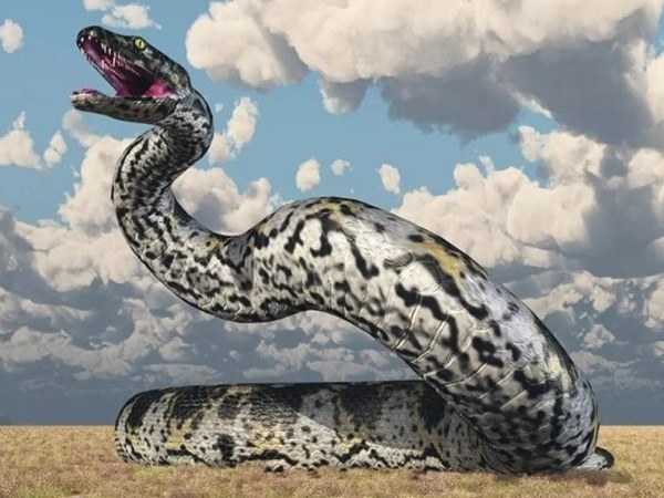 Nằm mơ thấy rắn to là điềm gì, con gì số mấy đổi vận?