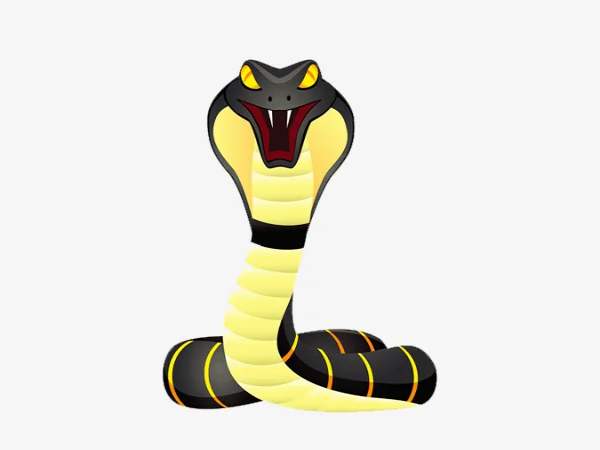 Con số may mắn tuổi Đinh Tỵ theo thời điểm trong ngày